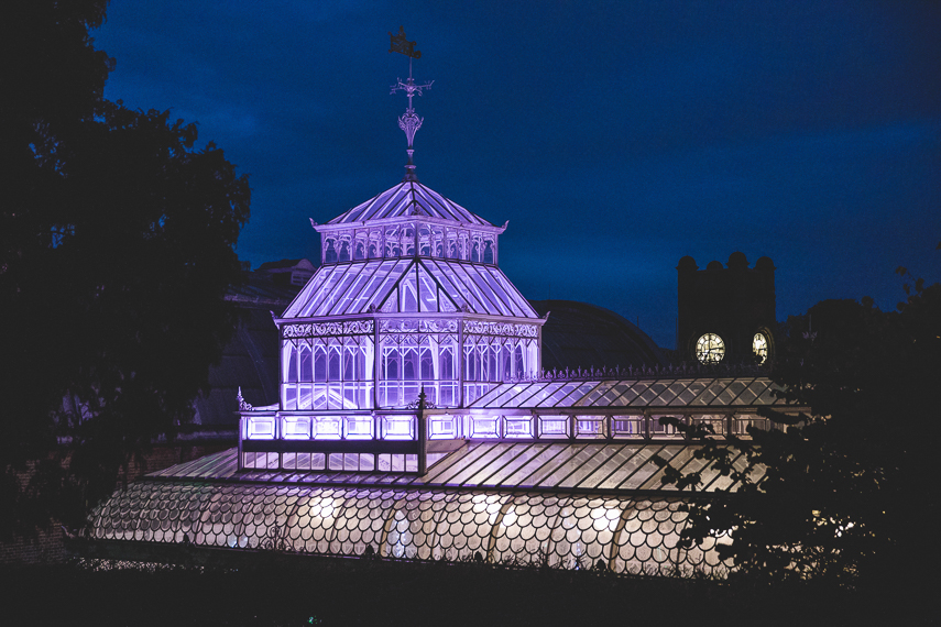 Horniman Museum Wedding Photographer